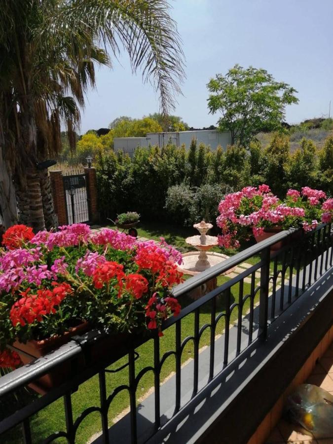 B&B Villa Salome' San Pietro Clarenza 외부 사진